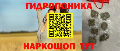 крисы Ставрополь