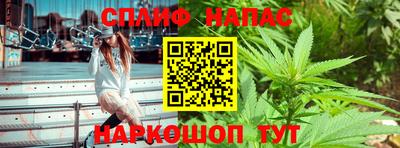 крисы Ставрополь