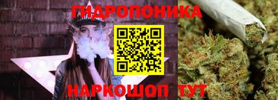 гидра Старая Купавна