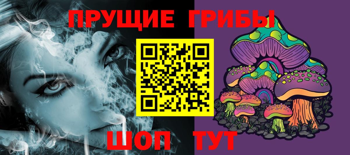 Новозыбков  купить наркоту  Вход с VPN  Псилоцибиновые грибы мухоморы  Галлюциногенные грибы GOLDEN TEACHER 
