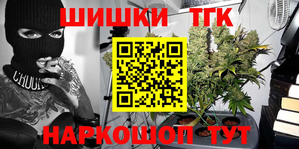 Канабис гибрид Новозыбков